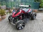 Quad atv 250cc homologué route - Miniature