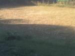 Terrain constructible 1400 m² - Miniature
