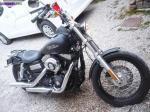 Harley street bob - Miniature