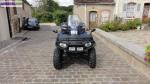 Quad polaris 550 efi - Miniature