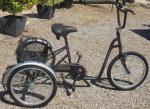 Tricycle (handicape) - Miniature