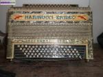 Magnifique accordeon - Miniature