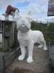 Bulldog en resine - Miniature