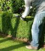 Entretien de votre jardin - Miniature