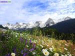 Superbe terrain de 766 m2au grand-bornand - Miniature