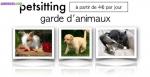 Garde d'animaux (petsitting) - Miniature