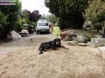 Bebes  beaucerons  a  naitre - Miniature