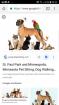 Garde d'animaux - pet-sitting - Miniature