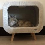 Maison chat / chien  - Miniature