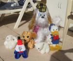 Lot de peluches - Miniature