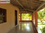 Superbe villa avec grand terrain, arbres fruitiers,  au... - Miniature