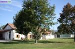 Pension canine & feline a vendre - Miniature